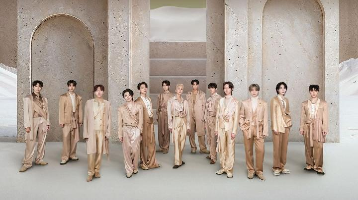 Member SEVENTEEN. (mecimapro)